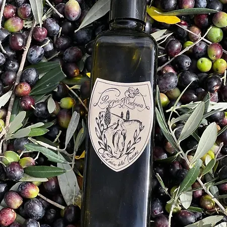 Poggio Madonna